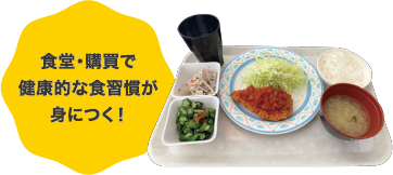 主食・主菜・副菜のバランスがよくなる！