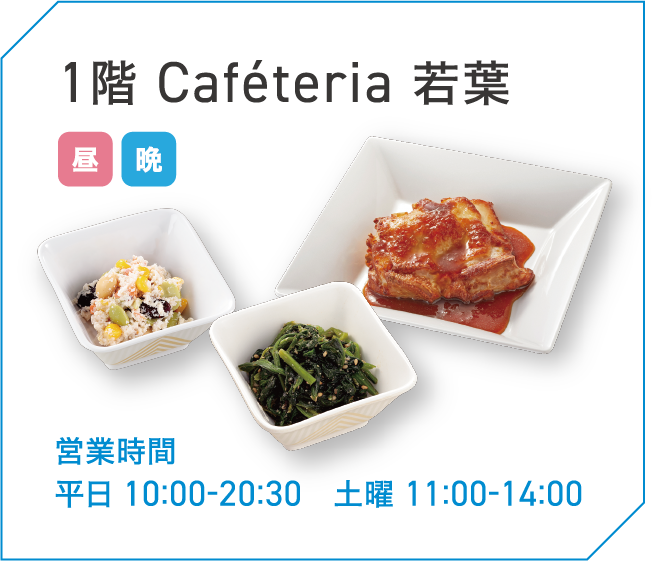 1階 Caféteria 若葉
