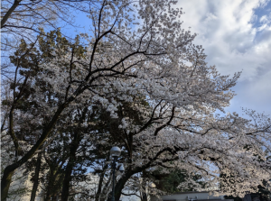 26_地方出身東大生による二次試験前の過ごし方