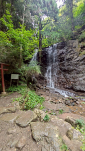 サーオリ、オリ合宿